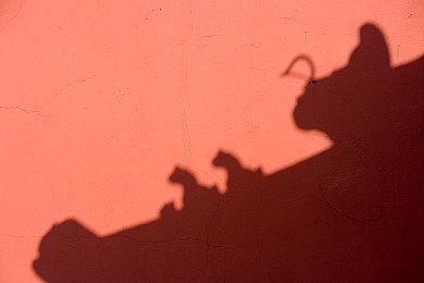 《梦三国2》将登陆Steam 免费游玩上线时间待定